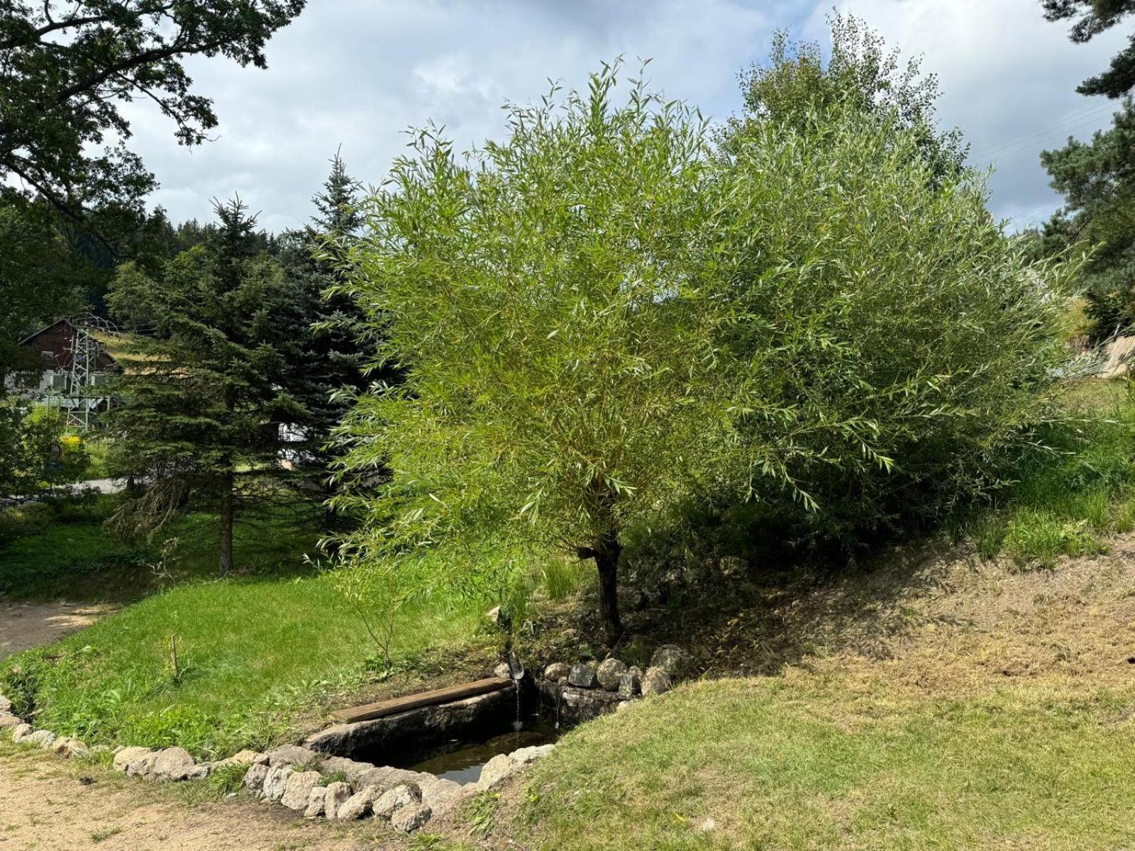 Antoniwald82 Josefuv Dul Villa Eksteriør bilde